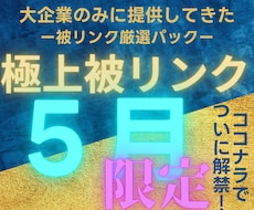 2026年5月限定で大企業と同じ被リンク貼ります なぜ成功している大企業と御社で結果に差が付くの？答えは○○！