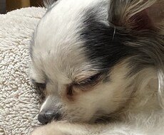 少しでも悩みに添えるようにアドバイスします イメージ1