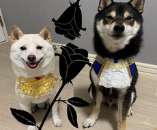 健康相談や人間関係…様々なお悩みお聞きします イメージ1