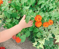 18歳までのお子様がいる方、相談聞きます イメージ1