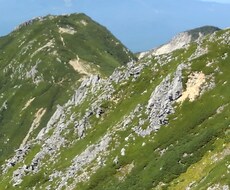 屋根瓦の相談いたします イメージ1