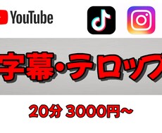 動画に字幕／フルテロップを入れます イメージ1