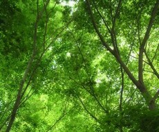 毒親との関係・お悩み聴きます イメージ1