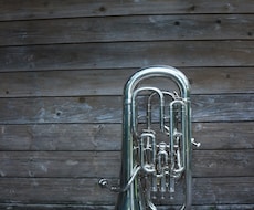 月１回５０分ユーフォニアムレッスンします 基礎から丁寧に指導します！楽しく楽器を吹きましょう♪