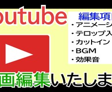 YouTubeや自己紹介の動画など編集いたします イメージ1