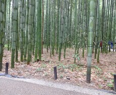 どんな文章も作成致します 何をどう書けばいいのかわからない！という方におすすめです！