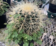楽しい日々を過ごせることを願います イメージ1