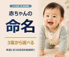 シンプル版｜赤ちゃんの名前を真・姓名判断します イメージ1