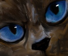 ペットの絵を個性的に心を込めてお描きします イメージ1