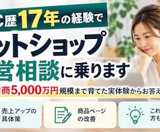 EC歴17年の経験でEC運営の相談に乗ります 月商5000万円まで育てた実体験からお答えします