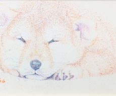 ペットの絵画制作します イメージ1