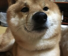 悩み事は、なんですか？私が聴きます イメージ1