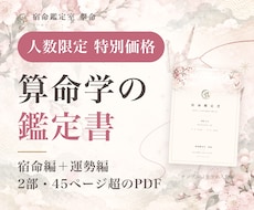 あと4名の特価で宿命鑑定書と12年の運勢を作ります イメージ1