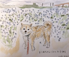 あなたの大切なペットのイラスト描きます イメージ1