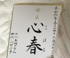 命名書や賞状、毛筆で様々書かせて頂きます イメージ1