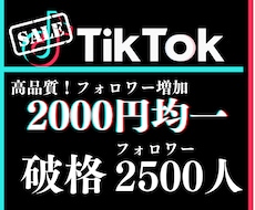 TikTokフォロワー【2500人】増やします 業績10まで最低価格！真心込めて！
