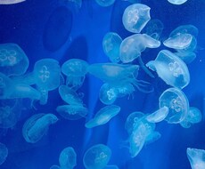 恋愛相談！あえてガッツリアドバイスします イメージ1