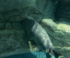 子育て相談、旦那さんの愚痴等、話し相手になります イメージ1