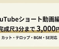 YouTubeショート動画を編集します 見やすくテンポの良いショート動画に仕上げます