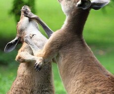 ざっくりなマーケティング相談相手になります 集客・調査などふわっとした課題を聞いてフィードバックします