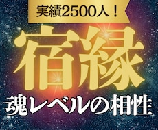 実績2500人 魂の相性診断 彼と結ばれる縁視ます 二人の魂の繋がりを徹底解剖◆今の波長と引き寄せの未来を解明