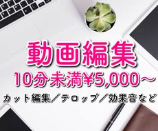 動画編集（カット・テロップ・BGM挿入等）承ります YouTuberさん大歓迎！ビジネス系エンタメ系などに対応