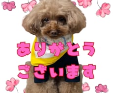 愛するお子様、ペットのラインスタンプつくります イメージ1