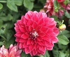 一言チャネリングメッセージを届けます 一言おみくじメッセージ。高次元存在からのメッセージです。