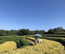 元気☆もりもりでます イメージ1