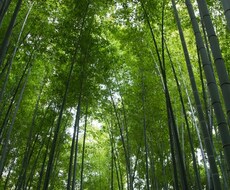西洋占星術であなたのお悩みにお答えします 現状を知り、時期を活用して望む未来を手に入れましょう！