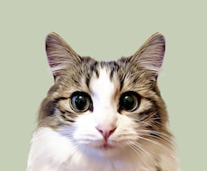 迷い猫、高確率で見つます イメージ1