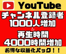 YouTube1000人＆4000時間増やします YouTubeチャンネル収益化セット！！収益化報告多数！！