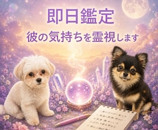 即日鑑定｜本音を霊視あの人の気持ち丁寧に視ます イメージ1