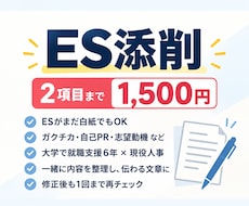 ゼロからOK｜現役人事の大学職員がES添削します イメージ1