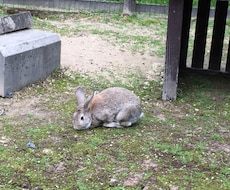 あなたのお話お聞きします イメージ1