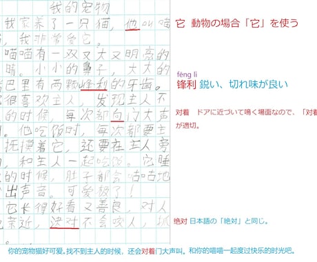ネイティブ先生が中国語作文の添削をします 伝えたいことをベースにして、正しく自然な添削を行います。 イメージ2