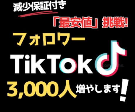 TikTokフォロワー3000人増やします 最初の5名まで業界最安値に挑戦！ イメージ1