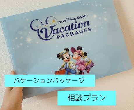 バケーションパッケージの相談のります 【バケパ相談】【バケパプランの添削】☆ビデオチャット イメージ1