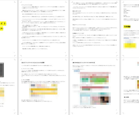 アフィリエイト初心者向け攻略マニュアルを販売します アフィリエイトで何から始めていいか分からないなら自己アフィ！ イメージ2