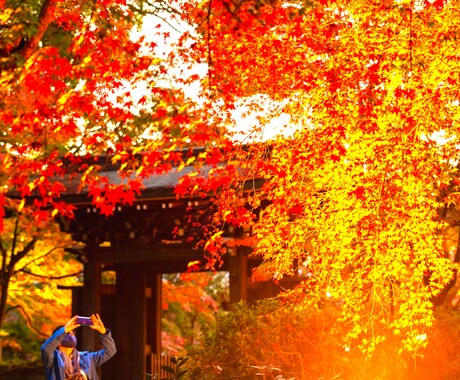 関係が終わりそうな彼を縁結び「天」でご縁を結びます 片思い、復縁、複雑な関係を強力縁結びで強く繋ぎます イメージ2