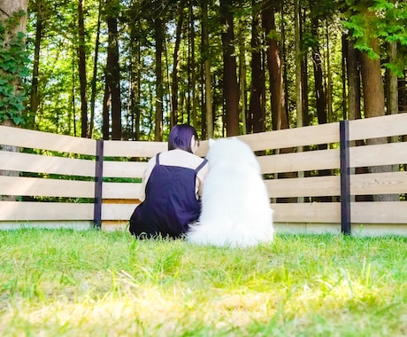 家族だった愛犬/愛猫のお話しお聞きます ペットロスでつらいときに…有資格のカウンセラーが対応します！ イメージ1