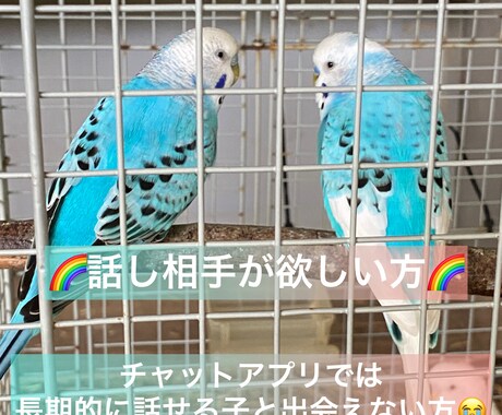 9:00〜22:00の間で無制限でお話します 反応が欲しい！メッセージが欲しい！という方におすすめです☆ イメージ2