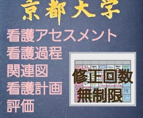 どこにもない看護過程を提供します 【高品質】専門看護師、元准教授が看護過程のサポートサービス イメージ1