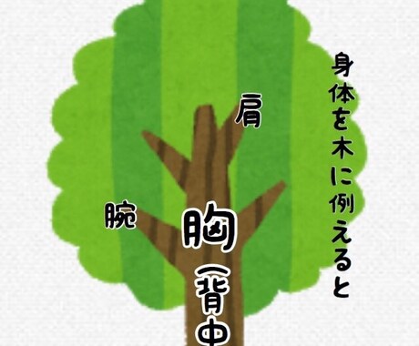 筋トレしたいけど悩んでる方にオススメします 軽い気持ちで筋トレを始めませんか イメージ2