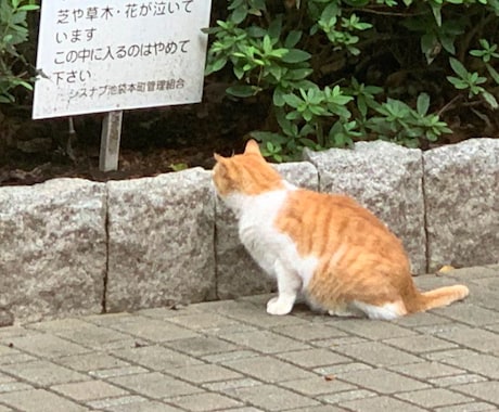 ドロップアウトした方の支援をしています 将来に悩みを抱えている方、お気軽にどうぞ イメージ2