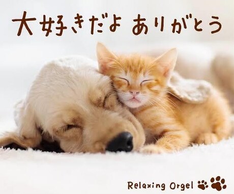 あなたのモヤモヤした辛い気持ち聞きます 今は辛いけど、一歩踏み出して幸せの階段を‼︎ イメージ2