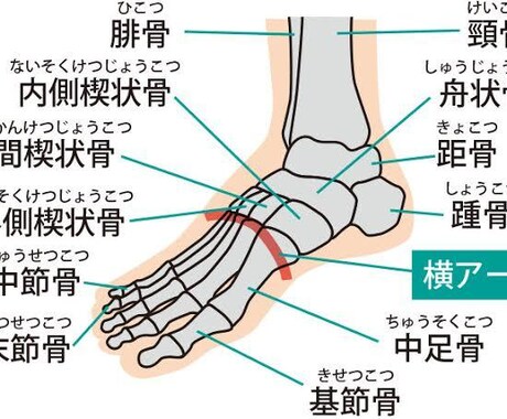 足のデトックスの講習をします 3時間で習得！顧客も満足な器具不要メニュー！ イメージ1