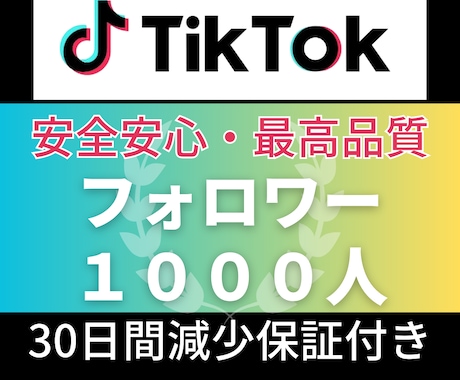TikTokフォロワー＋1,000人増加します 限定１０名★高品質！2000円➡TikTok1000人増加 イメージ1