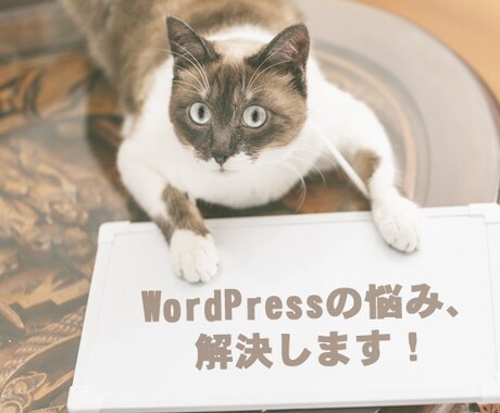 あなたのWordPress(個人)を診断します WordPressで販売実績がないあなたへ(個人サイト) イメージ2