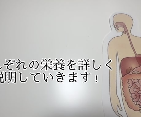 食事・運動・生活習慣を一緒に見直します 無理せず続ける健康習慣！目指しましょう！ イメージ1